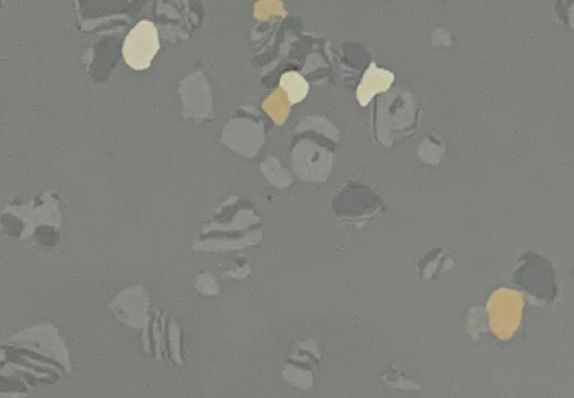 AST-D010