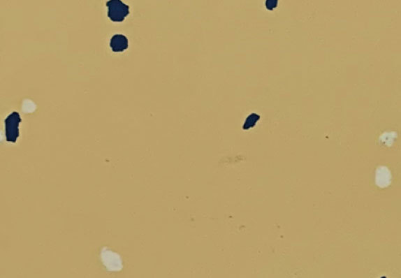 AST-S017