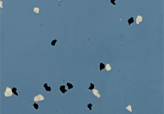 AST-S002