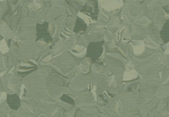 AST-P019