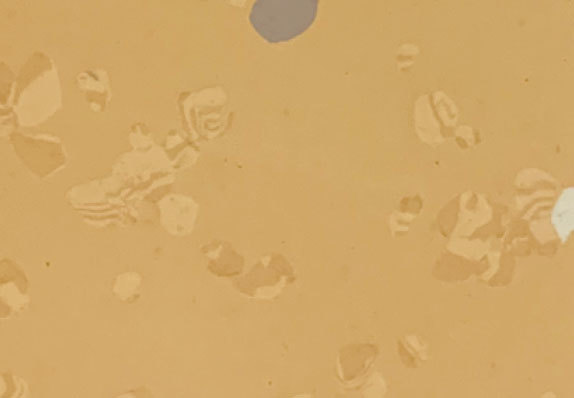 AST-D038