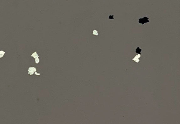 AST-S006