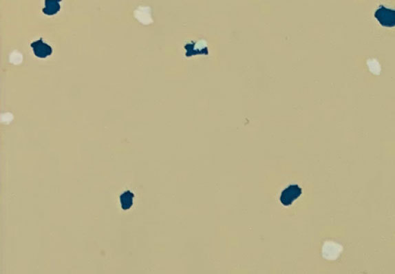 AST-S013