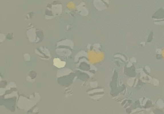 AST-D009