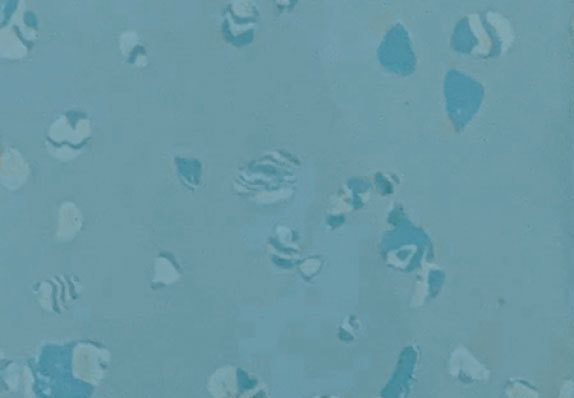 AST-D001