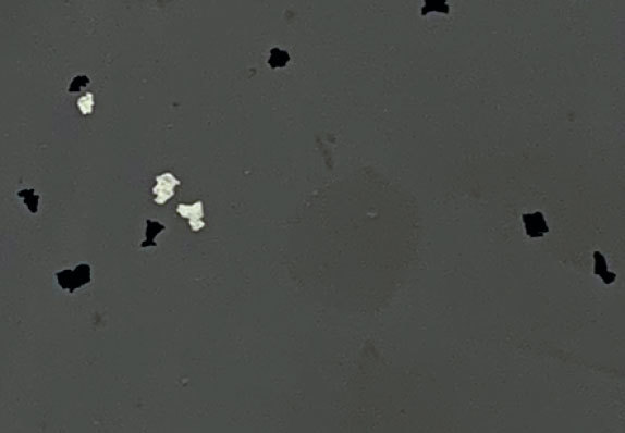 AST-S007