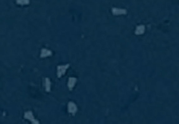 AST-Q019