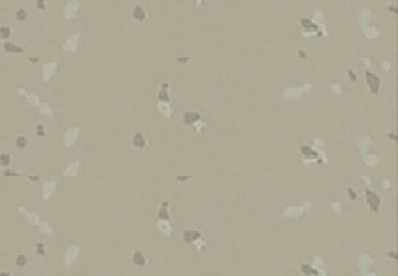 AST-Q006