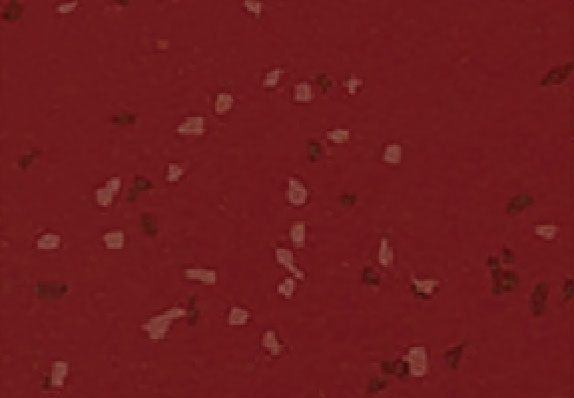 AST-Q014