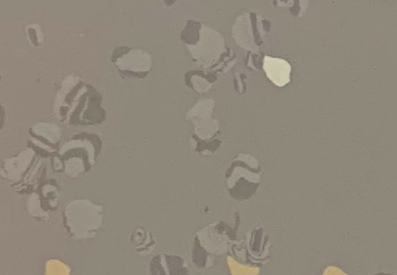 AST-D005