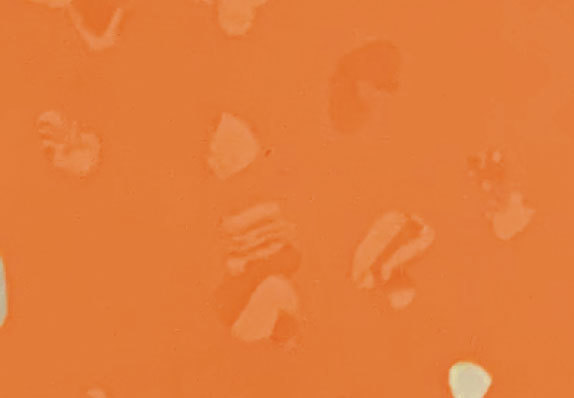 AST-D033