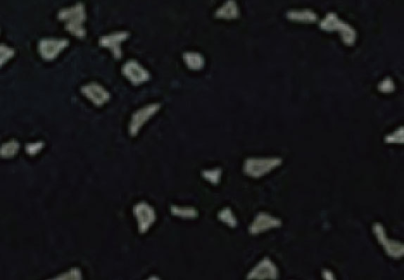 AST-Q005