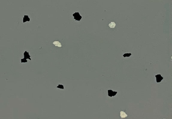 AST-S010