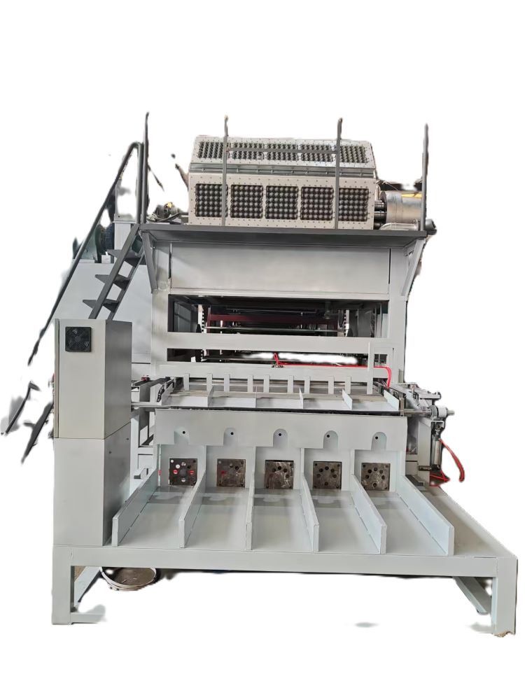 "Introducing a New 5000pcs/h Egg Tray Production Line: Efficiency Redefined"