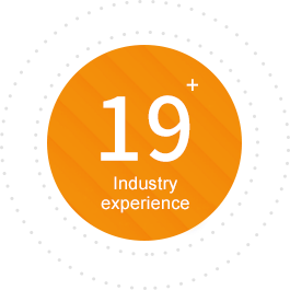 Industry experience Industry experience