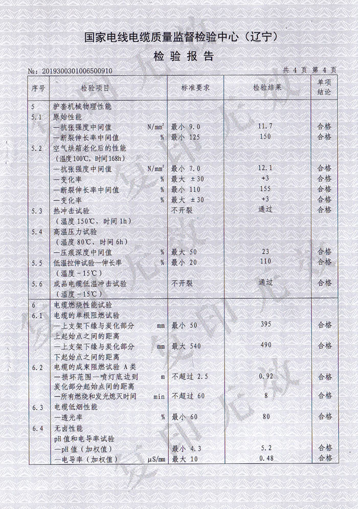檢驗(yàn)報(bào)告