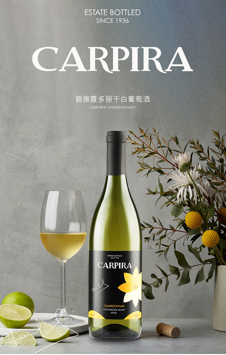 碧雅多丽干白葡萄酒