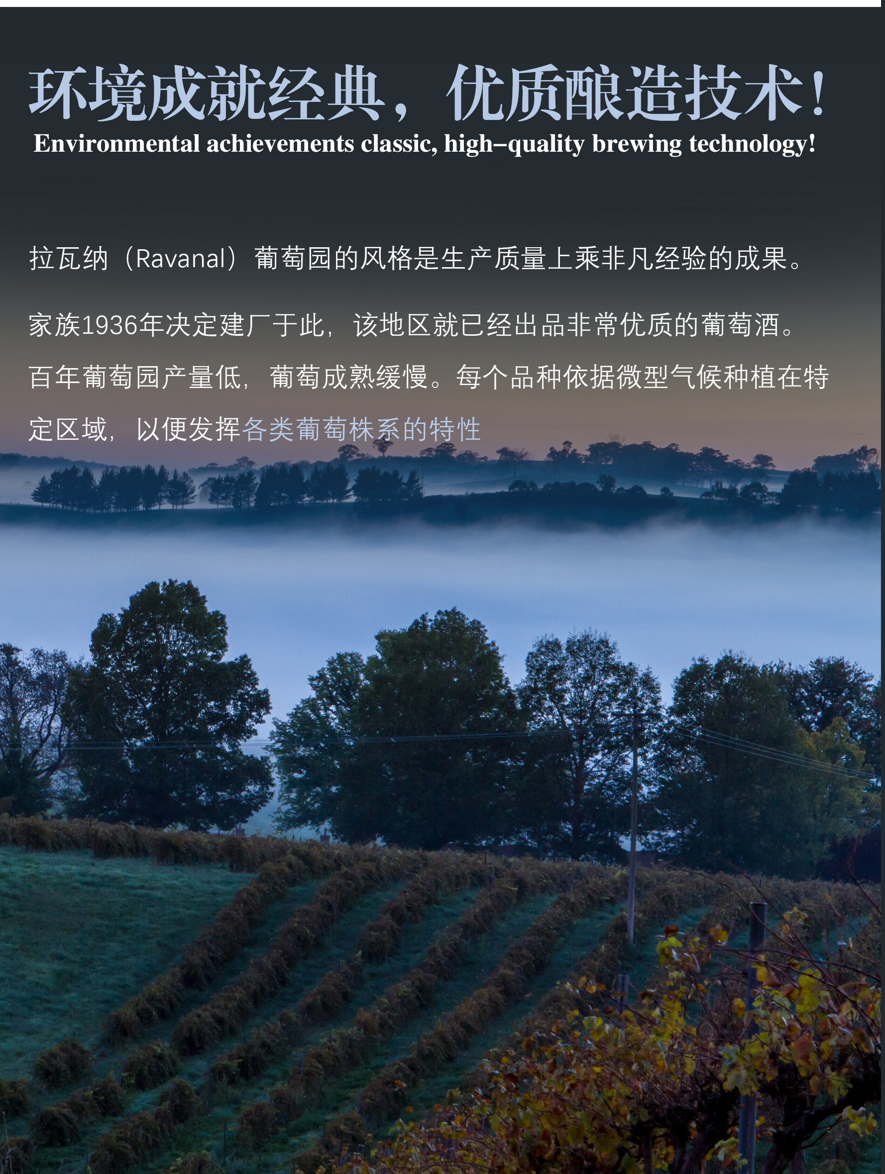 金色山丘红葡萄酒