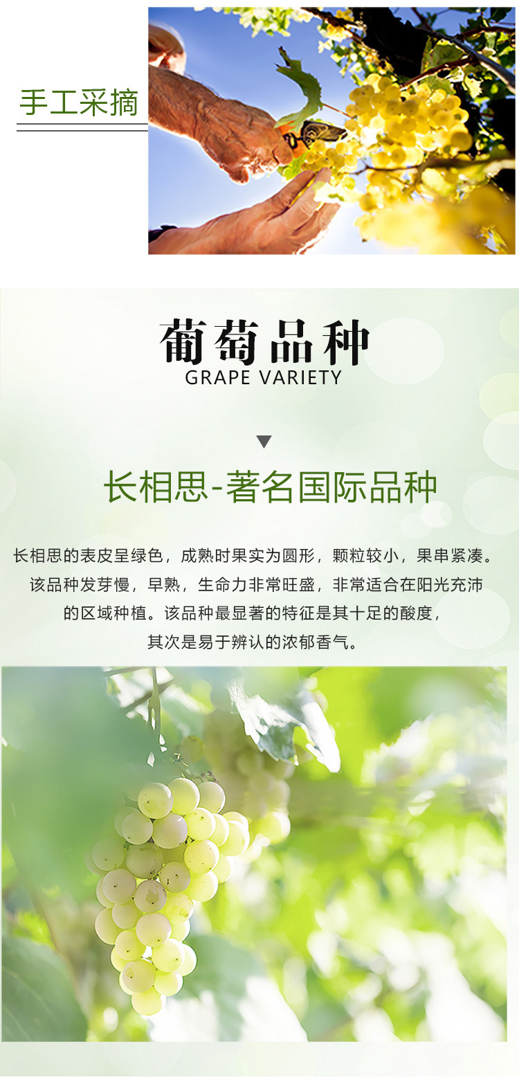 维卡长相思干白葡萄酒