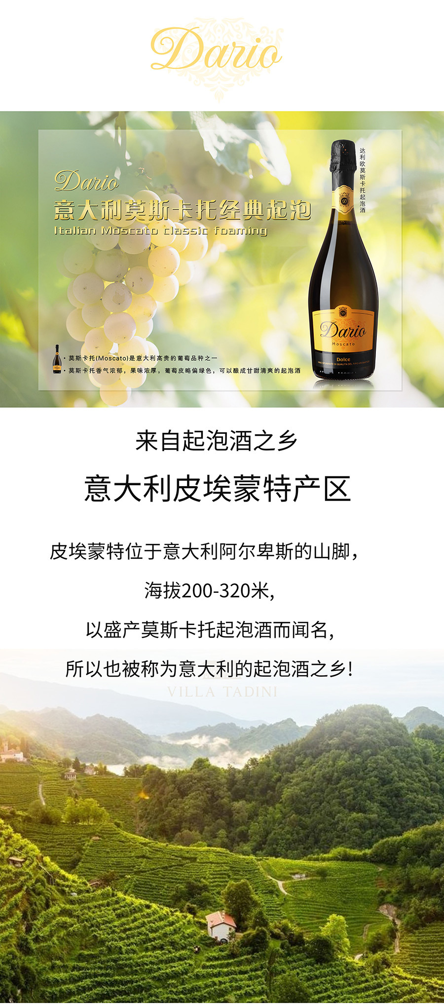 意大利莫斯卡托经典起泡
