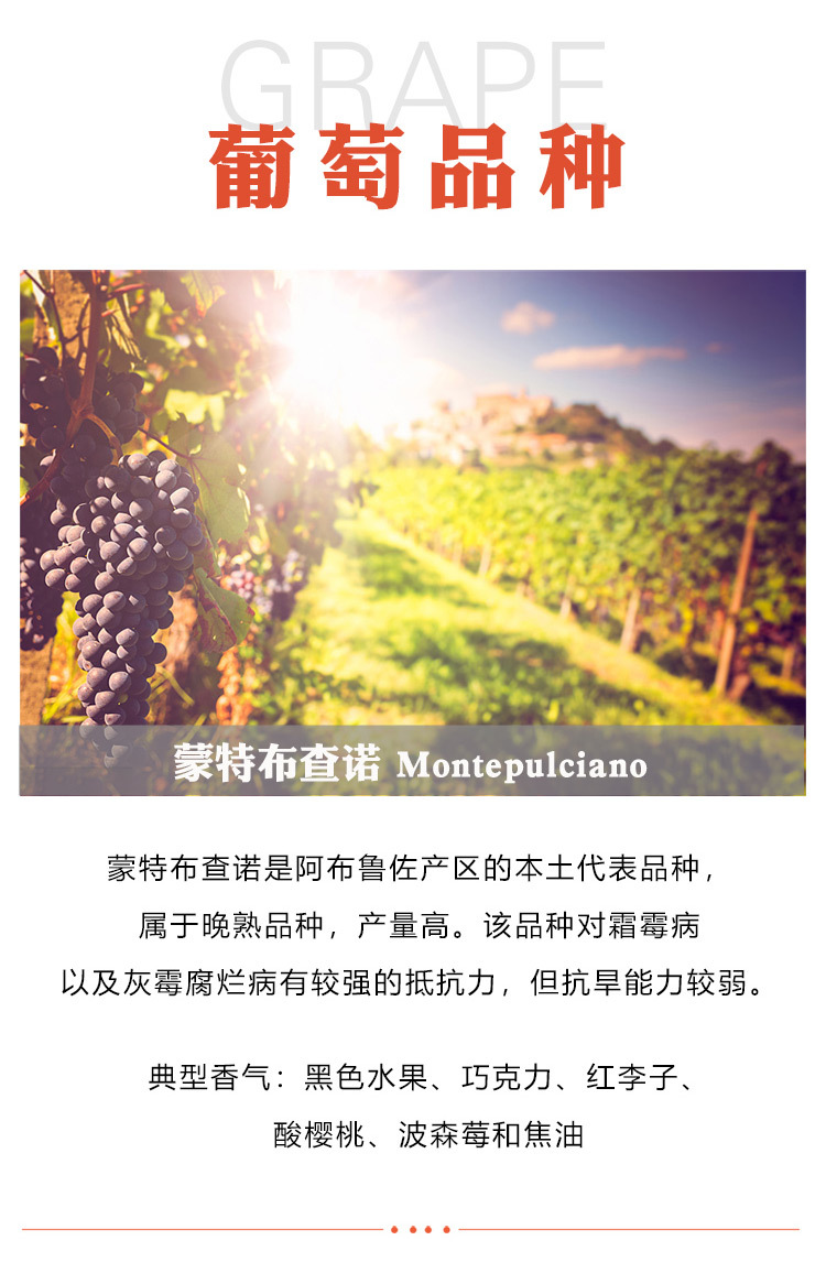 意大利卡吉奥罗珍藏红葡萄酒