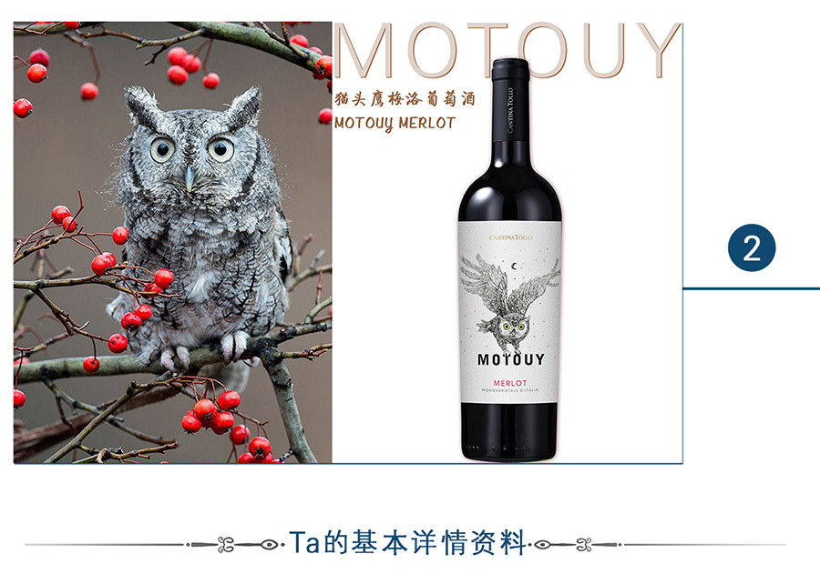 意大利猫头鹰梅洛葡萄酒