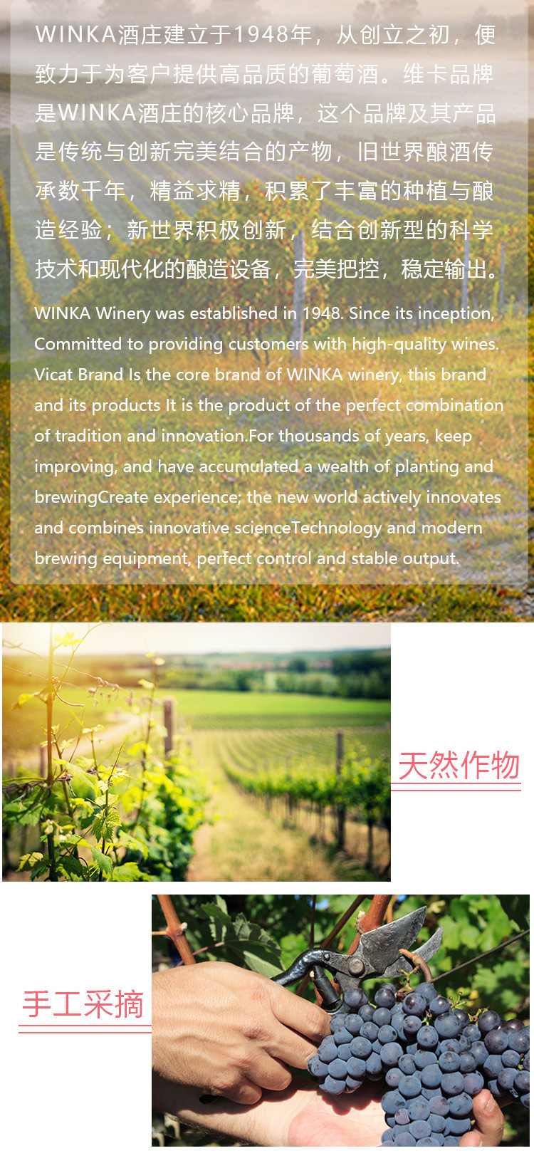 维卡半干红葡萄酒