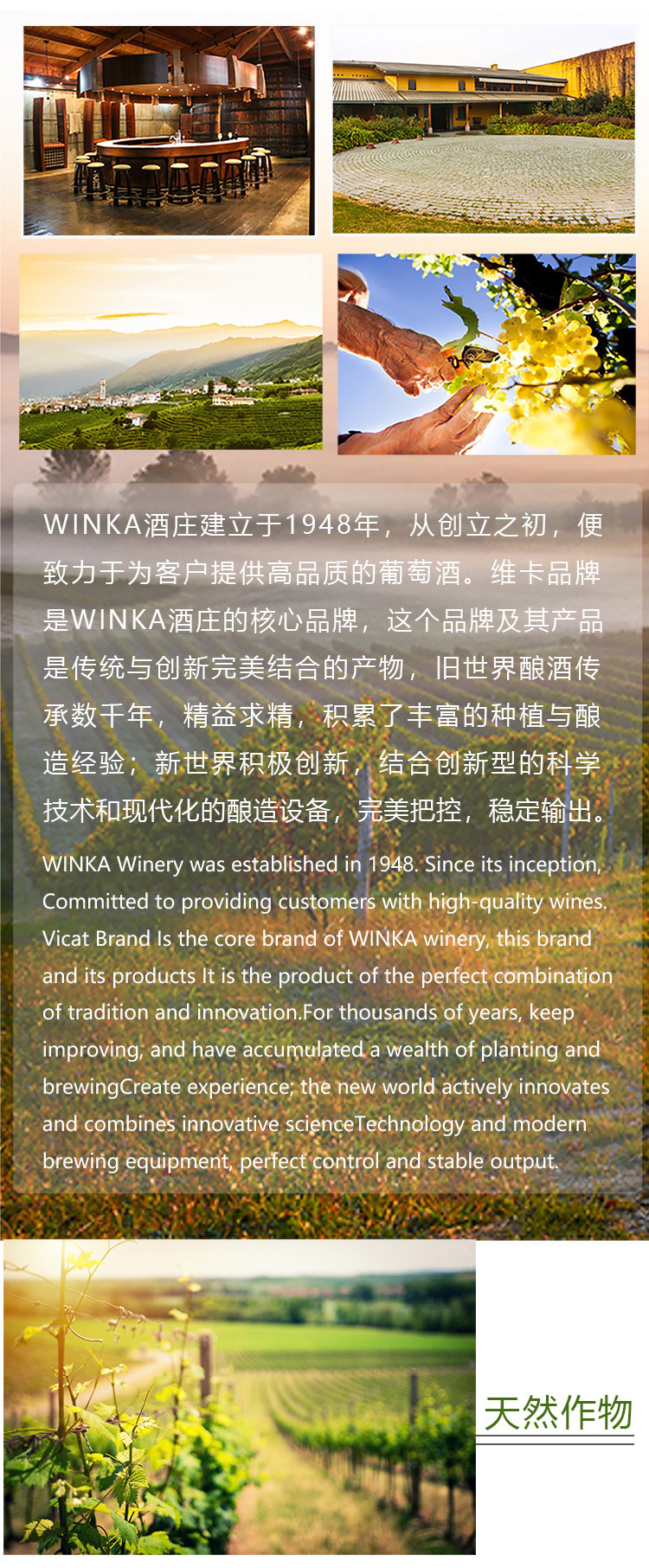 维卡长相思干白葡萄酒
