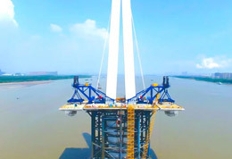 Lifter crane