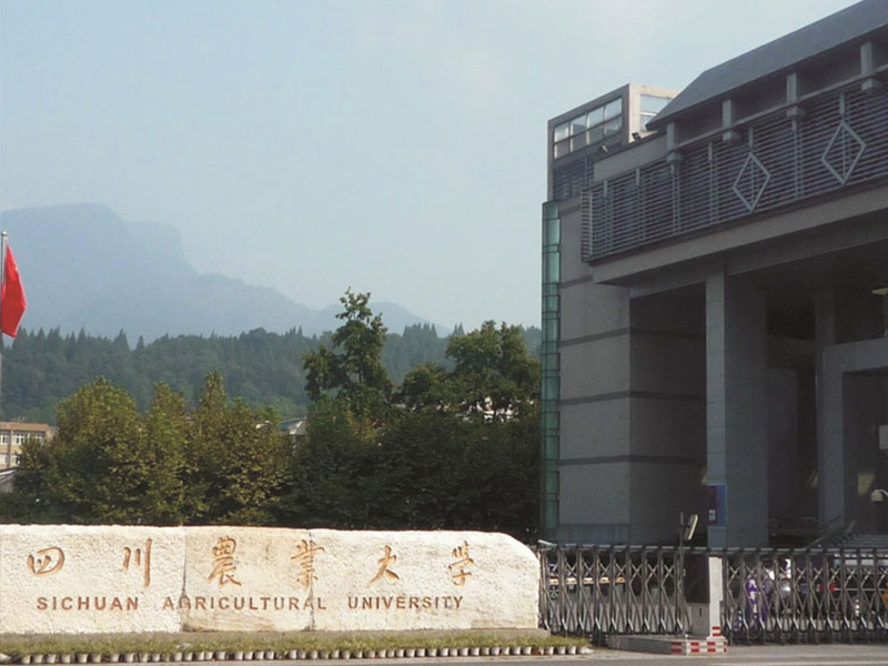 四川農(nóng)業(yè)大學(xué)