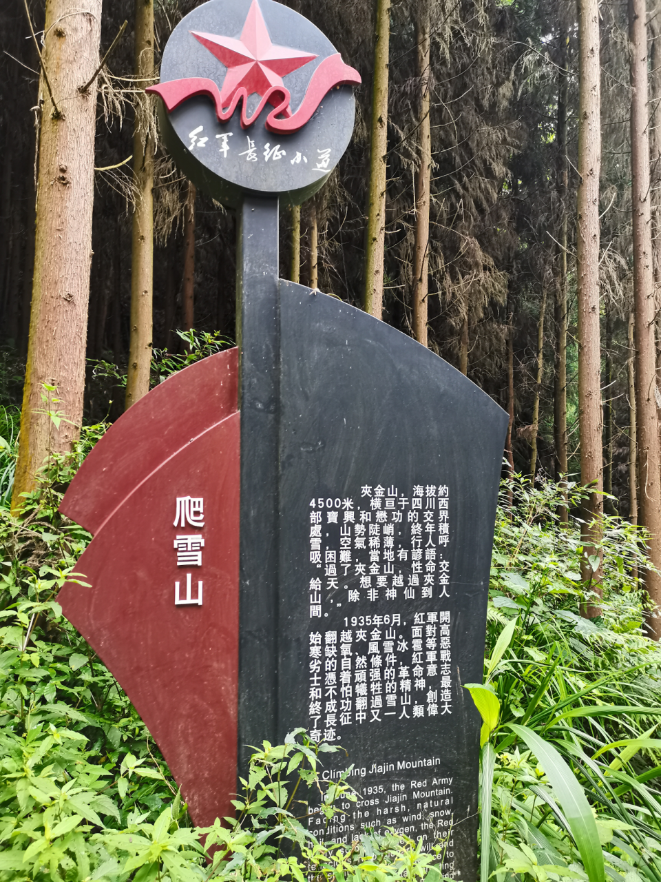 詳情
