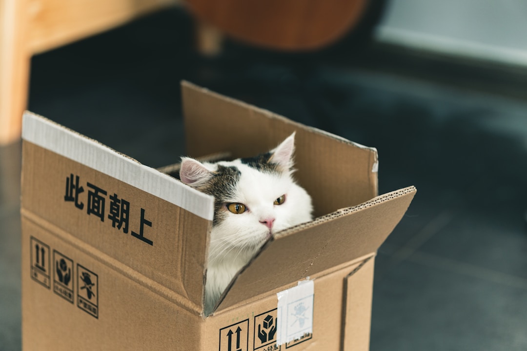 猫砂代加工的多样应用场景与市场前景