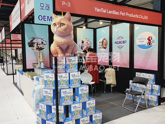 展会展示