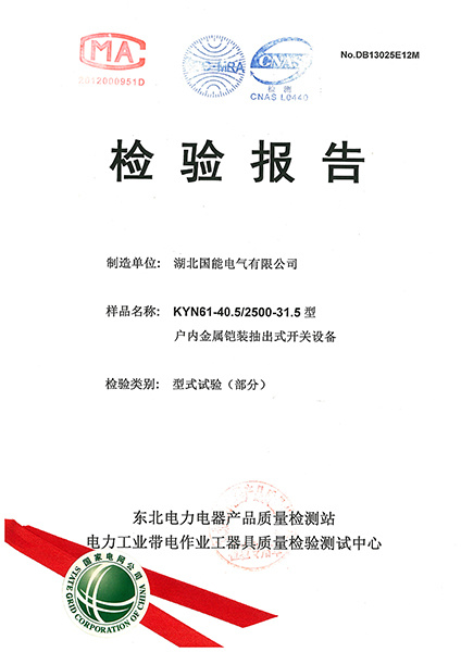 檢驗報告