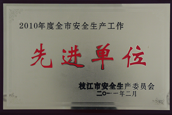 2010年安全生產(chǎn)先進單位