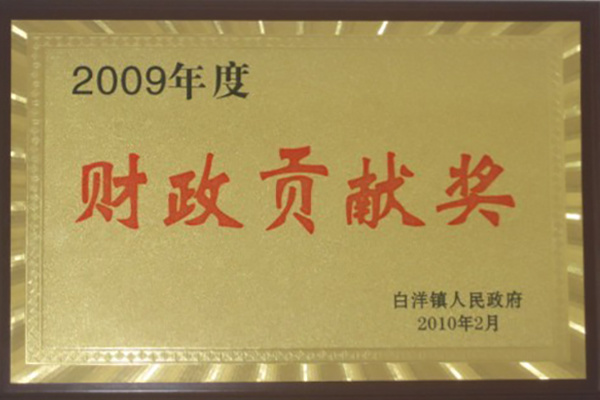 2009年財政貢獻獎