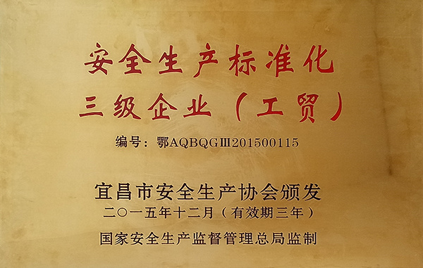 安全生產(chǎn)標(biāo)準(zhǔn)化 三級企業(yè)(工貿(mào))