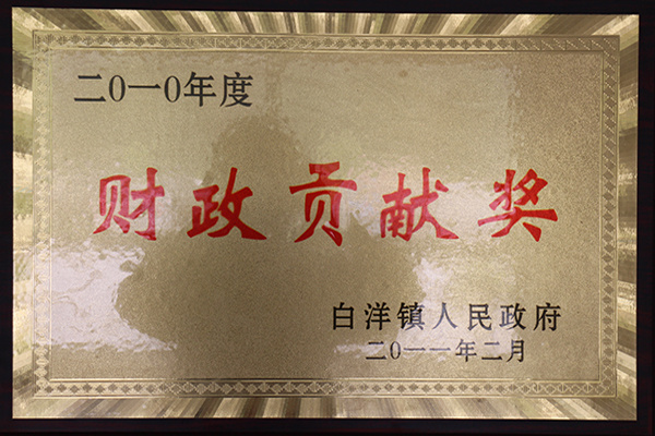2010年財政貢獻獎