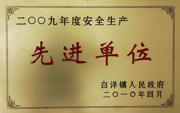 2009年安全生產(chǎn)先進單位