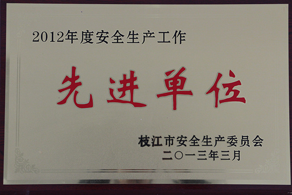 2012年安全生產(chǎn)先進單位