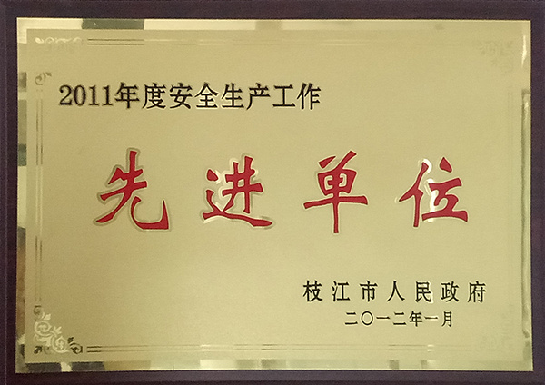 2011年安全生產(chǎn)先進單位