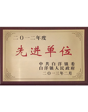 2012先進(jìn)單位