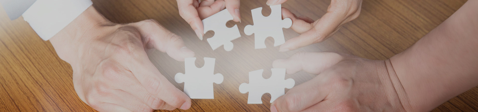 TRADE PARTNERS