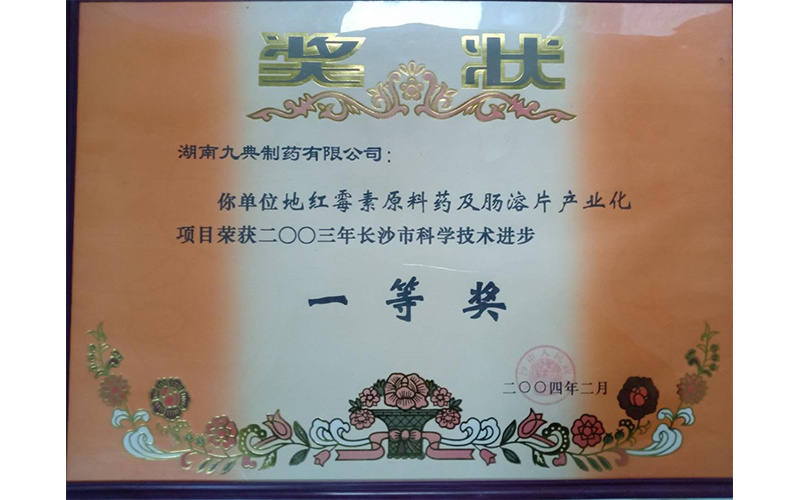 Dierythromycin API and enteric-coated tablet industrialization project Dierythromycin API and enteric-coated tablet industrialization project