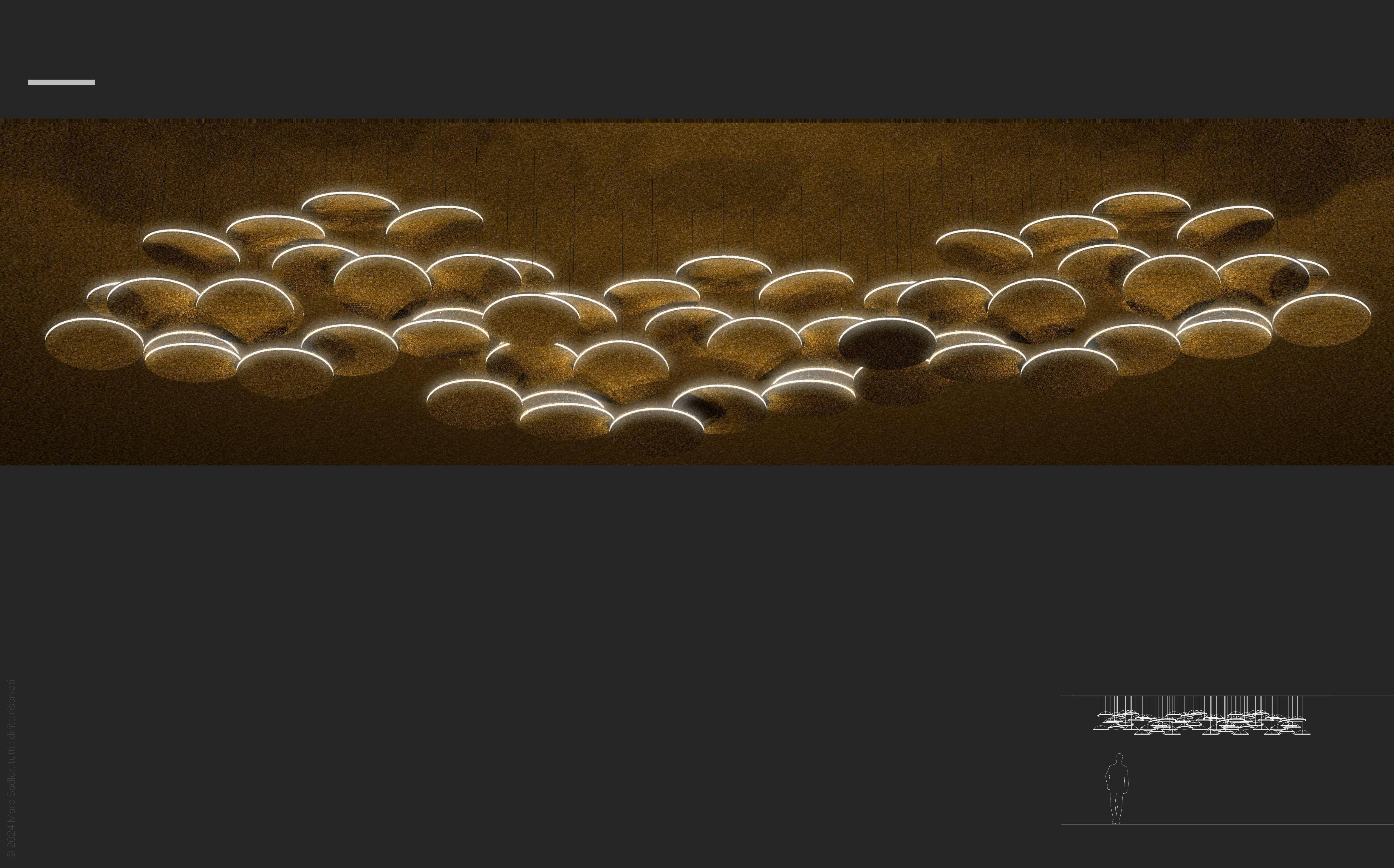 ANH-001
