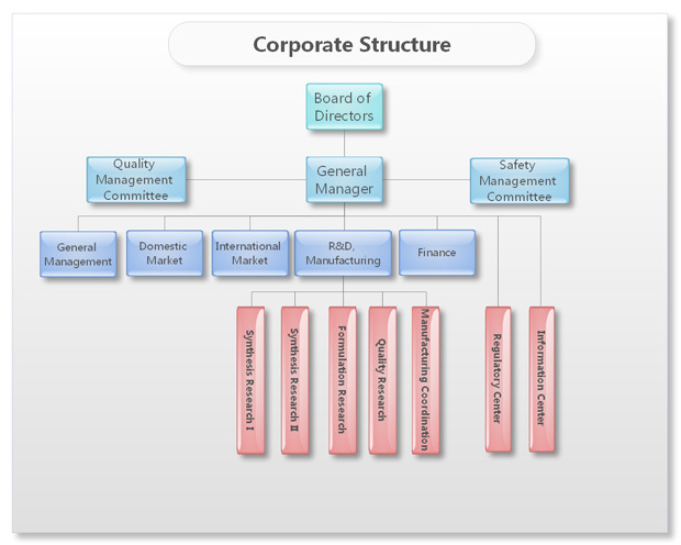 Corporate Structure