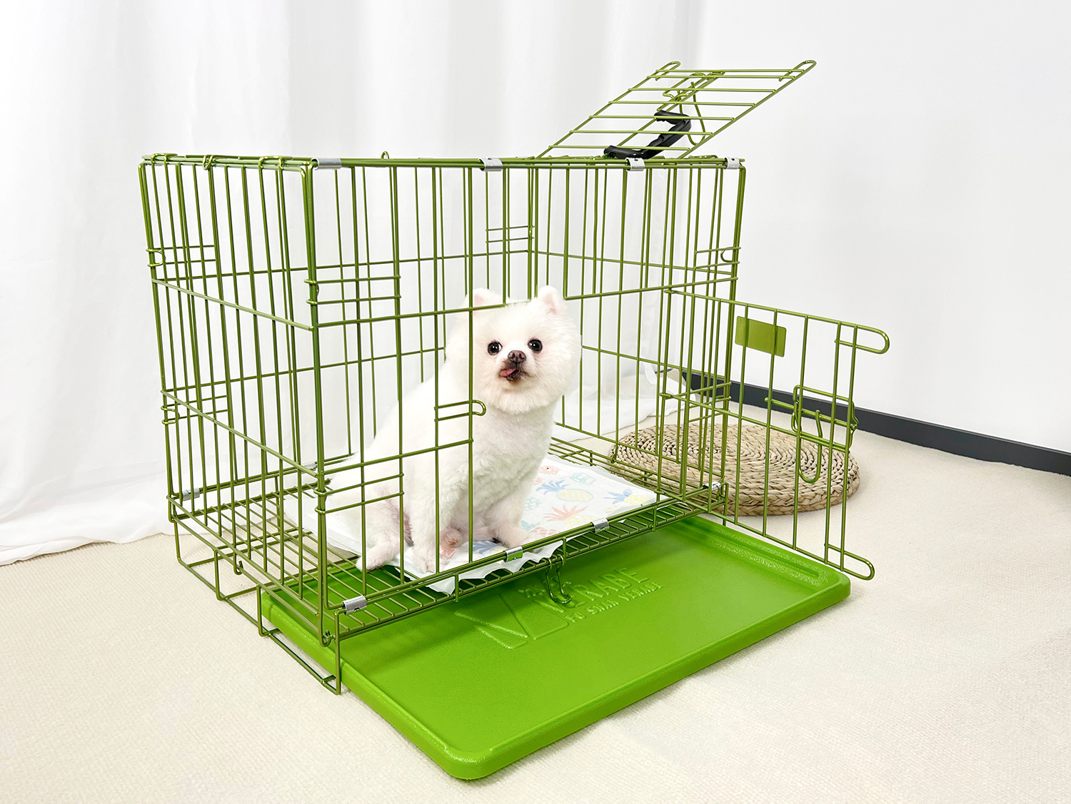微信图片_20230601162949-绿.jpg