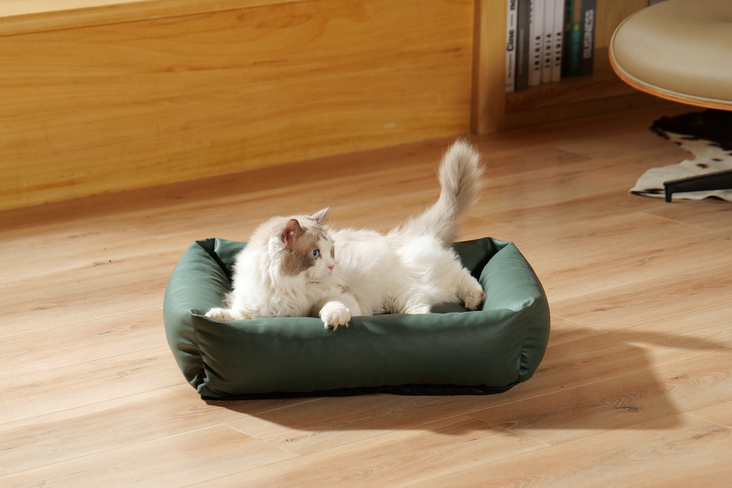 绿色pu皮猫窝-1(1733366356984).jpg