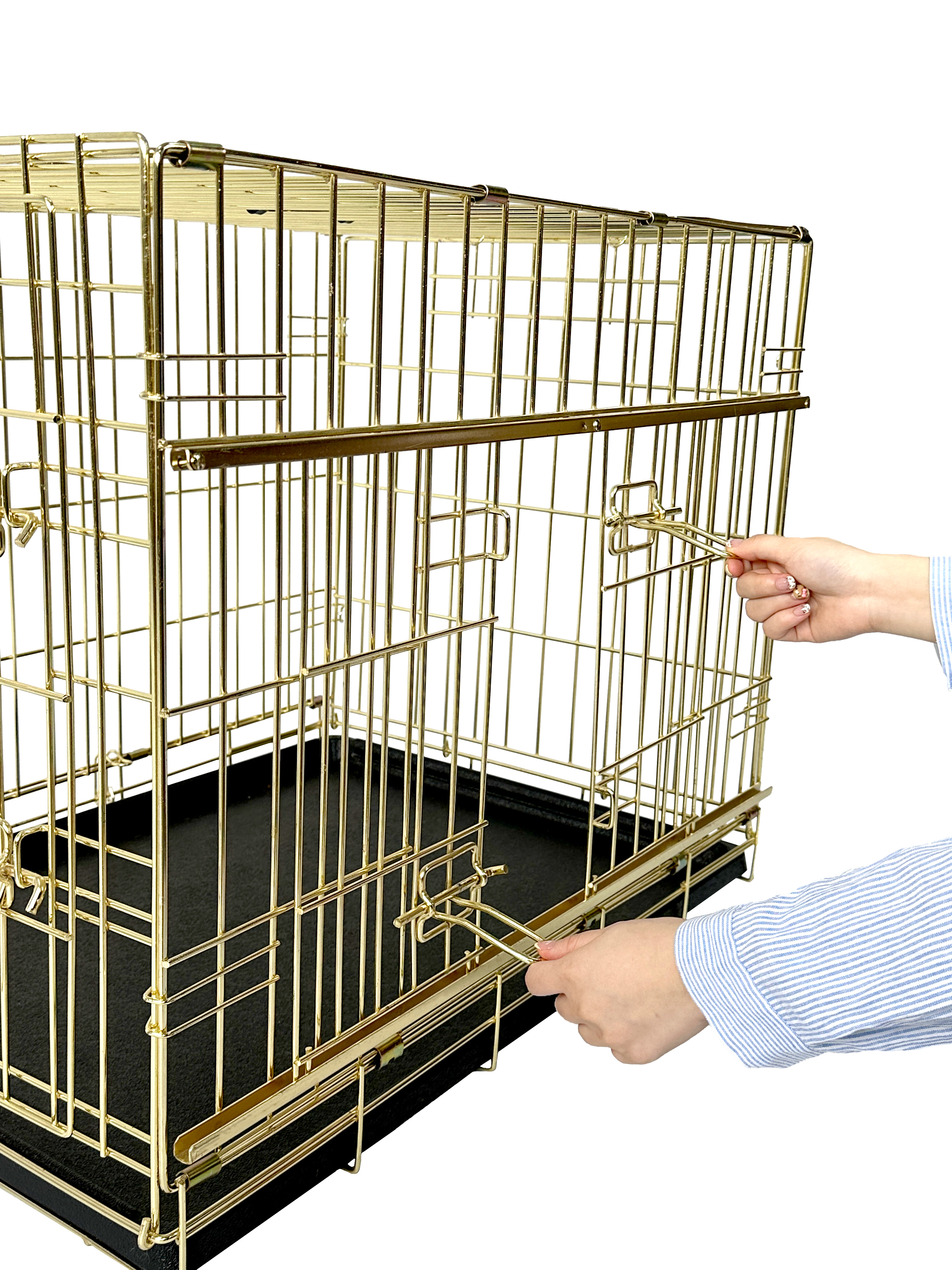 金色狗笼-2(1733738584771).jpg