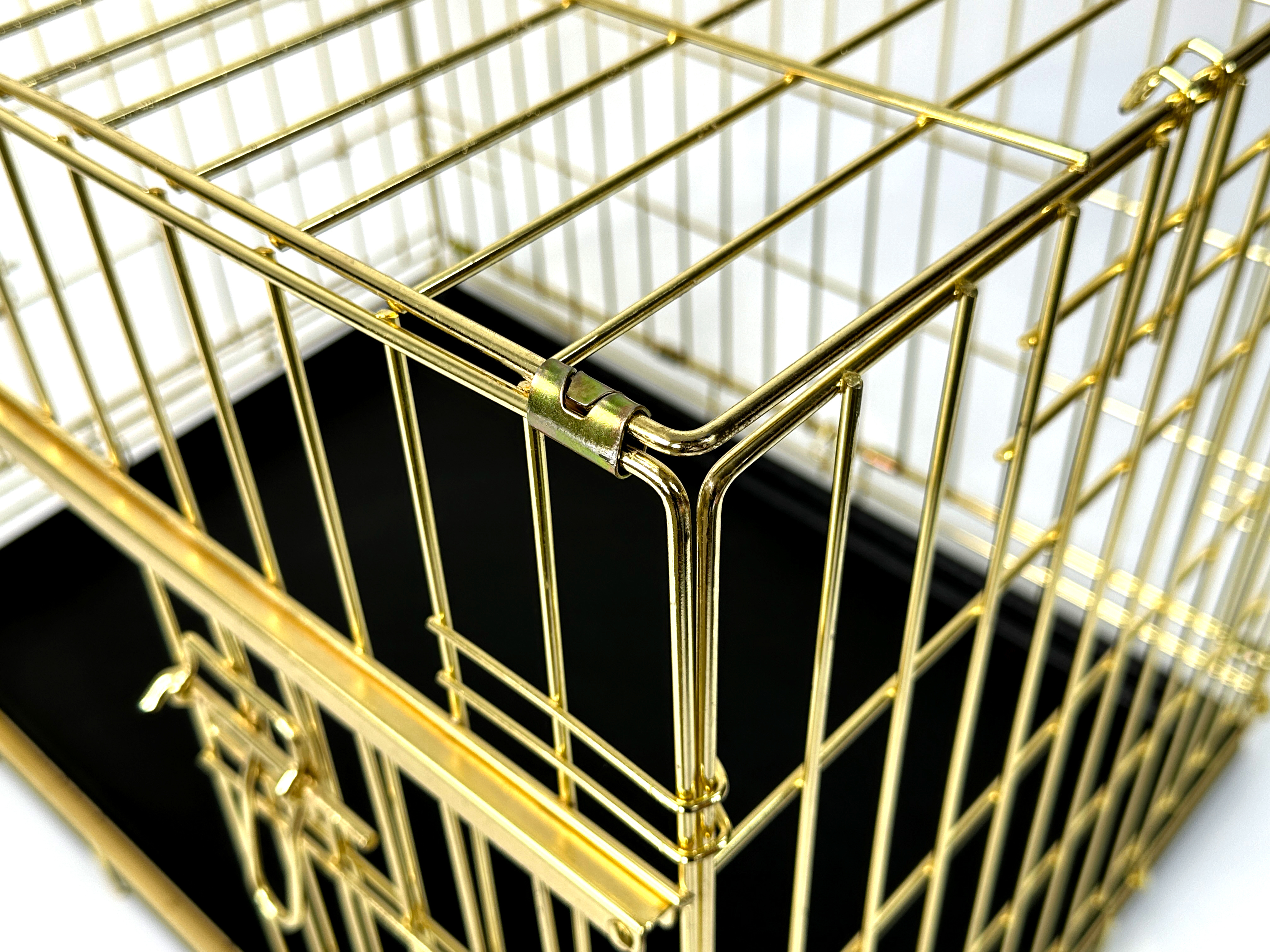 金色狗笼-1(1733716192799).jpg
